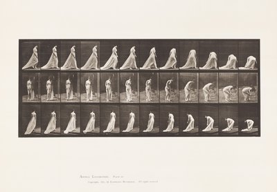 Talíř 56. Chůze, otáčení a shýbání do zvedacího vlaku od Eadweard Muybridge