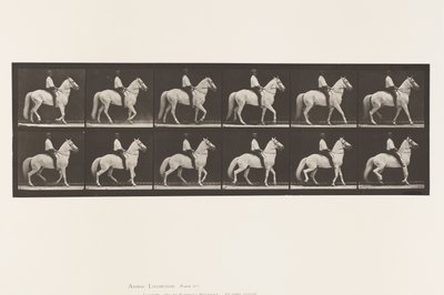 Talíř 577.Chůze; Sedlo; Nepravidelný; Bílý kůň Clinton, 1885 od Eadweard Muybridge