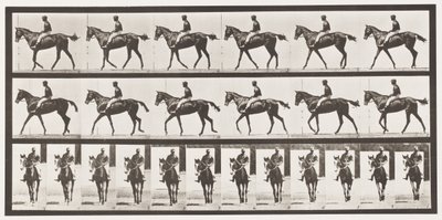 Talíř 580.Chůze; Sedlo; Plnokrevná Bay Mare Annie G., 1885 od Eadweard Muybridge