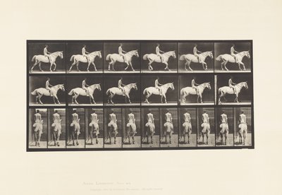 Talíř 582. Chůze;Sedlo; Jezdec, 43 let, nahý; Světle šedý kůň Smith od Eadweard Muybridge