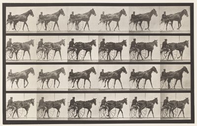 Talíř 587.Chůze; Sulky; Sorrel Mare Nellie Rose, 1885 od Eadweard Muybridge