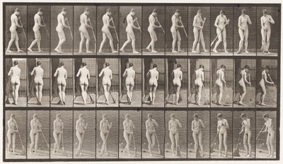 Talíř 58. Chůze, otáčení se zametání podlahy od Eadweard Muybridge