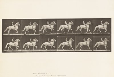Talíř 590.Ambling od Eadweard Muybridge