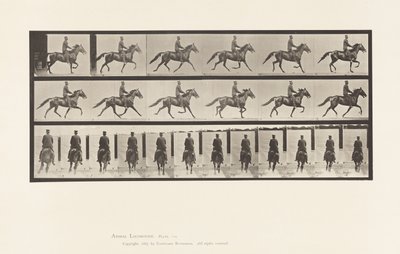 Talíř 592. Kolébání (chodení): Sedlo; Hnědý kůň Pronto od Eadweard Muybridge
