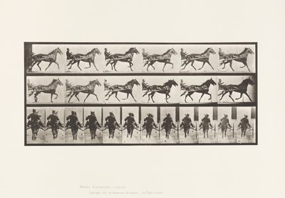 Talíř 594. Kolébání (chodení): Sulky; Hnědý kůň Pronto od Eadweard Muybridge