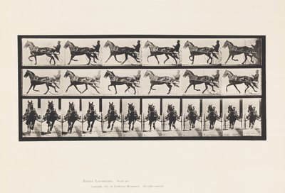 Talíř 595. Kolébání (Chození): Sulky; Hnědý kůň Pronto od Eadweard Muybridge