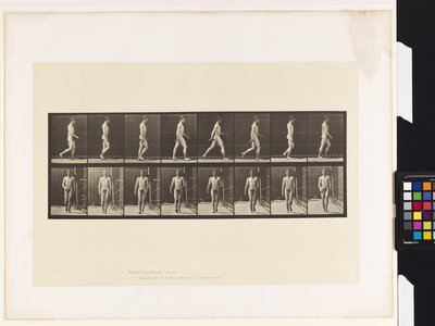 Talíř 5.Chůze od Eadweard Muybridge