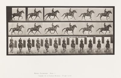 Talíř 601. Klusání; Sedlo; Hnědá klisna krása od Eadweard Muybridge