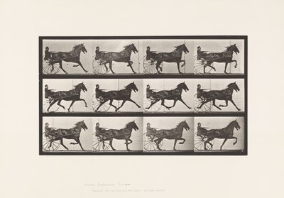 Talíř 606. Klusání; Sulky; Bay Horse, Ruben od Eadweard Muybridge