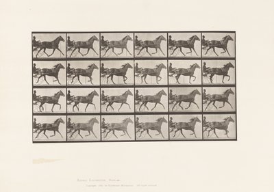 Talíř 607. Klusání; Sulky; Bay Mare, Lizzie M. od Eadweard Muybridge