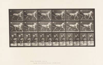 Talíř 611. Klusání; Sulky; Grey Mare, Katydid od Eadweard Muybridge