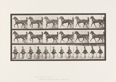Talíř 612. Klusání; Sulky; Bay Horse, Dereumd od Eadweard Muybridge
