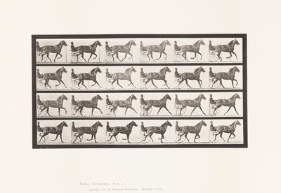 Talíř 614. Klusání; Rozbití do cvalu; Sorrel Mare Flode Holden od Eadweard Muybridge