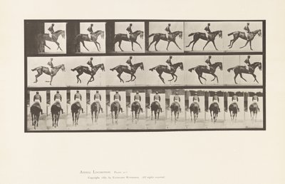 Talíř 620. Canter; Sedlo; Plnokrevná Bay Mare Annie 6. od Eadweard Muybridge
