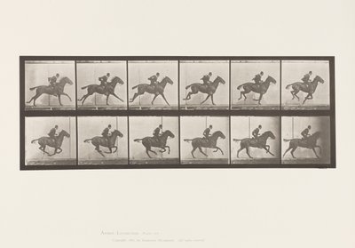 Talíř 624. Cval; Sedlo; Bay Horse Daisy od Eadweard Muybridge