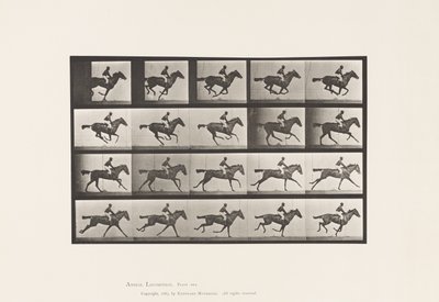 Talíř 627. Cval; Plnokrevná Bay Mare Annie G. od Eadweard Muybridge