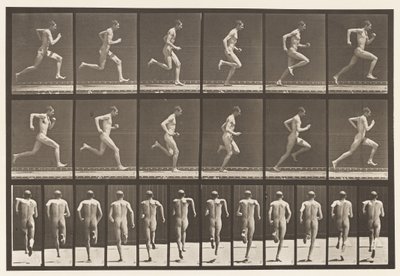 Talíř 62. Běží plnou rychlostí., 1872-1885 od Eadweard Muybridge