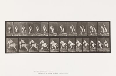 Talíř 630. Cval; Sedlo; Grey Mare Pandora od Eadweard Muybridge