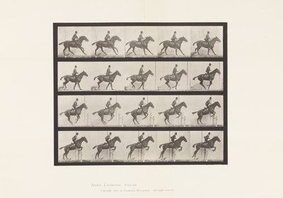 Talíř 636. Skok přes překážku; Sedlo; Příprava na skok od Eadweard Muybridge