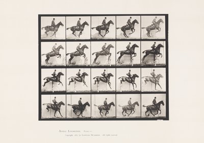 Talíř 640. Skok přes překážku; Sedlo; Bay Horse Daisy od Eadweard Muybridge