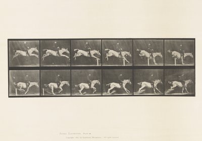 Talíř 641. Skok přes překážku; Sedlo; Klepání přes překážku a od Eadweard Muybridge