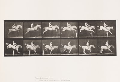 Talíř 643.Jumping a Hurdle; Bez sedla; Clearing and Landing; od Eadweard Muybridge