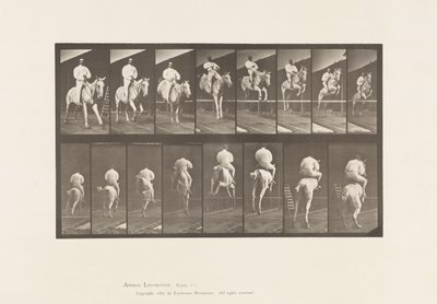 Talíř 644. Skok přes překážku; Sedlo; Vyčištění a přistání od Eadweard Muybridge