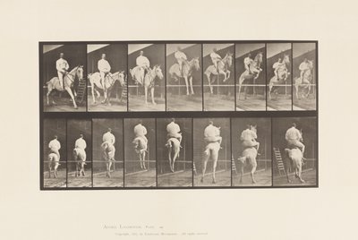 Talíř 645.Jumping a Hurdle; Sedlo; Vyčištění a přistání od Eadweard Muybridge