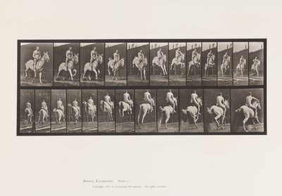 Talíř 646.Jumping a Hurdle; Sedlo; Jezdec, 105, nahý;, 1885 od Eadweard Muybridge