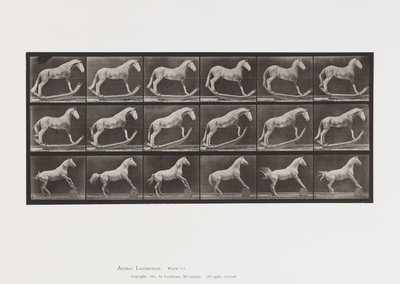 Talíř 649.A, Sršeň, Houpací; B, Eagle, Rolling Barrel, atd. od Eadweard Muybridge