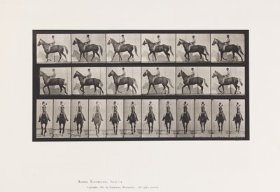 Talíř 654. Chůze; Sedlo; Kulhavý, pravá přední noha; Koňská kůže od Eadweard Muybridge