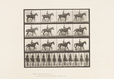 Talíř 655. Chůze; Sedlo; Spavin, pravá zadní noha; Kůň od Eadweard Muybridge