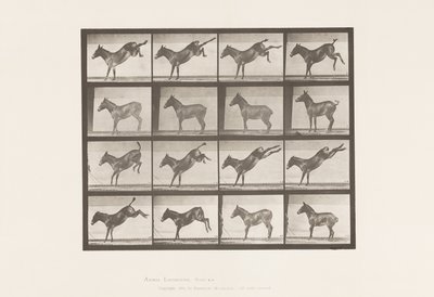 Talíř 658. Mezek; A, kopání; B, kopání Ruth od Eadweard Muybridge