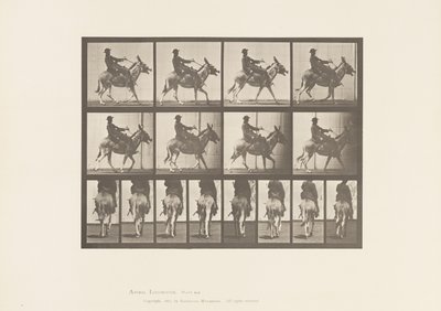 Talíř 668. Zadek; Ambling; Sedlo; Chlapec na koni, Zoo od Eadweard Muybridge