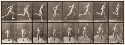Deska 67. Běh, 1872-1885 od Eadweard Muybridge