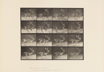 Talíř 682. Úhor; Dolar; A, klusání; B, Cval od Eadweard Muybridge