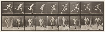 Deska 68. Běh, 1872-1885 od Eadweard Muybridge