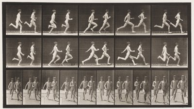 Deska 69. Běžící dva modely, 1872-1885 od Eadweard Muybridge