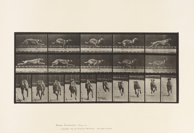 Talíř 708. Pes; Cval; Hnědý dostihový chrt od Eadweard Muybridge
