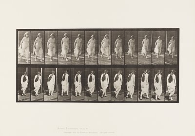 Deska 71.Běh, 1885 od Eadweard Muybridge