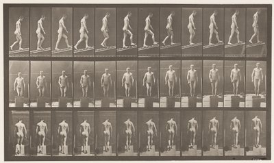 Deska 74. Vzestupný sklon, úhel 1:4 od Eadweard Muybridge
