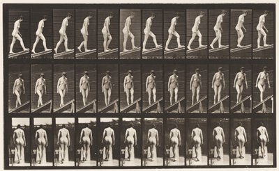 Deska 76. Vzestupný sklon od Eadweard Muybridge