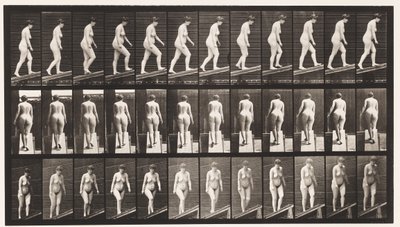 Deska 77. Vzestupný sklon od Eadweard Muybridge