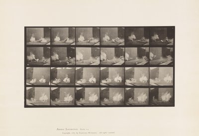 Talíř 781. Kuřata; Strach z torpéda od Eadweard Muybridge