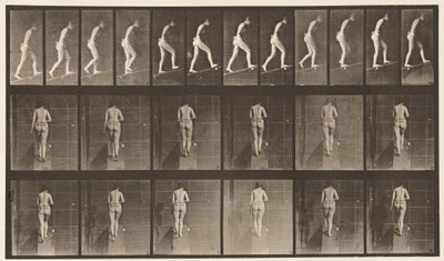 Deska 79. Vzestupný sklon od Eadweard Muybridge