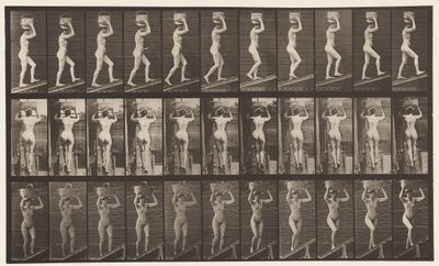 Deska 80. Vzestupný sklon od Eadweard Muybridge