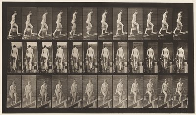 Deska 81. Vzestupný sklon. od Eadweard Muybridge