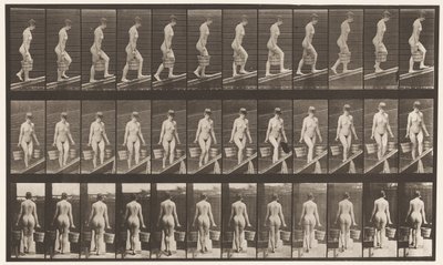 Talíř 82. Vzestupný sklon, vědro vody v každé ruce od Eadweard Muybridge