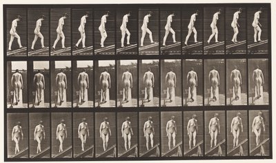 Deska 85. Vzestupný sklon od Eadweard Muybridge