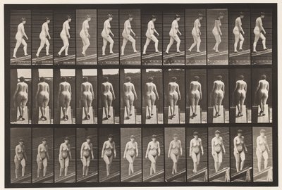 Deska 86. Vzestupný sklon od Eadweard Muybridge